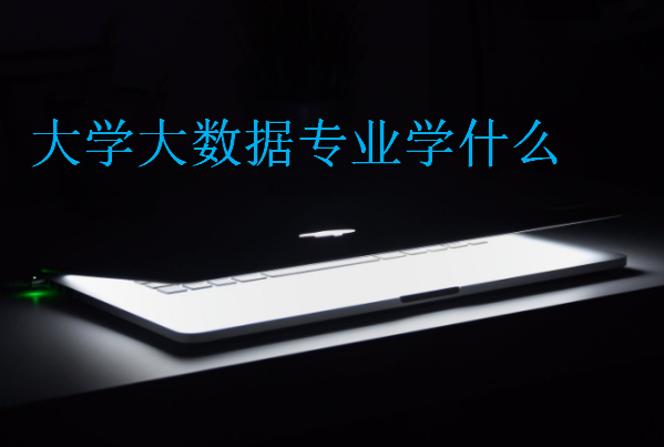 大學大數據專業學什么