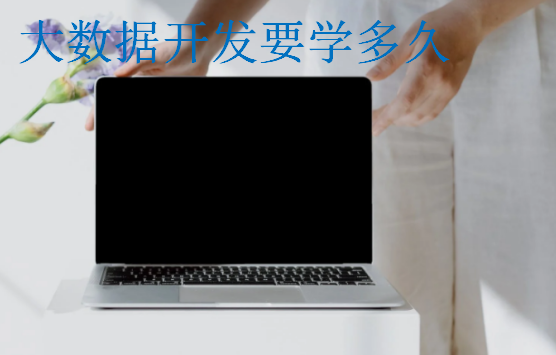 大數據開發要學多久