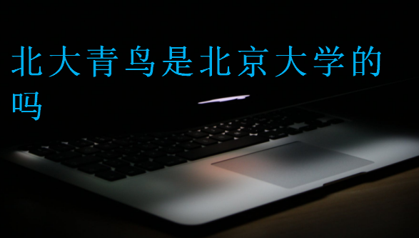 北大青鳥是北京大學的嗎