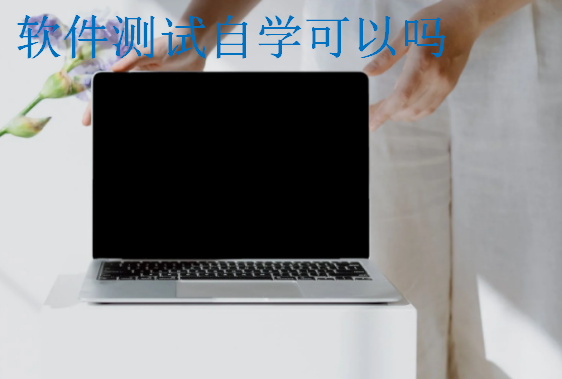 軟件測試自學可以嗎