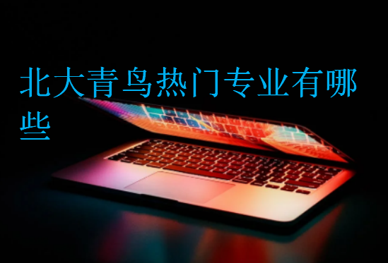北大青鳥熱門專業有哪些