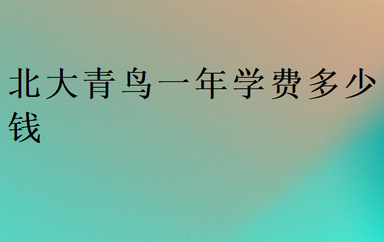 北大青鳥一年學費多少錢